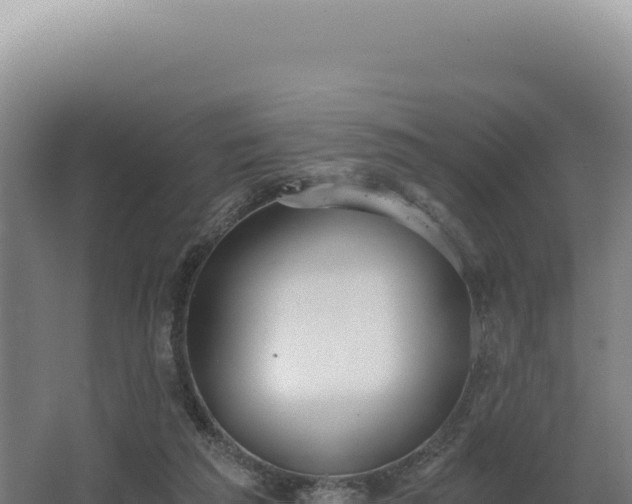 X0000068300209200604281718