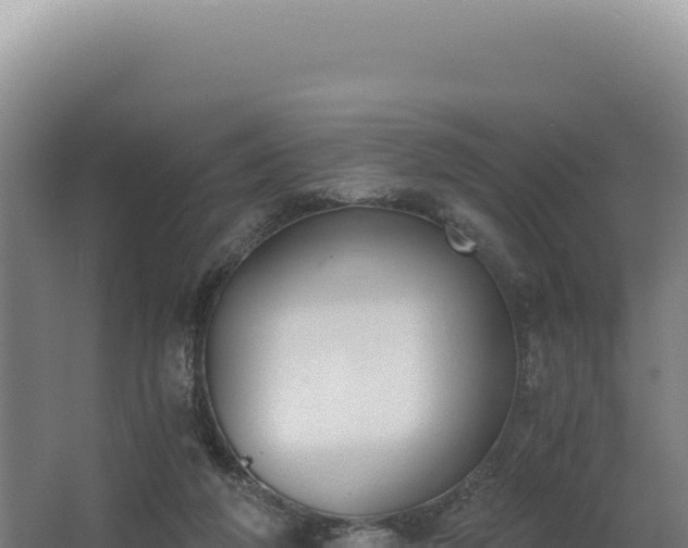 X0000068300210200604281718