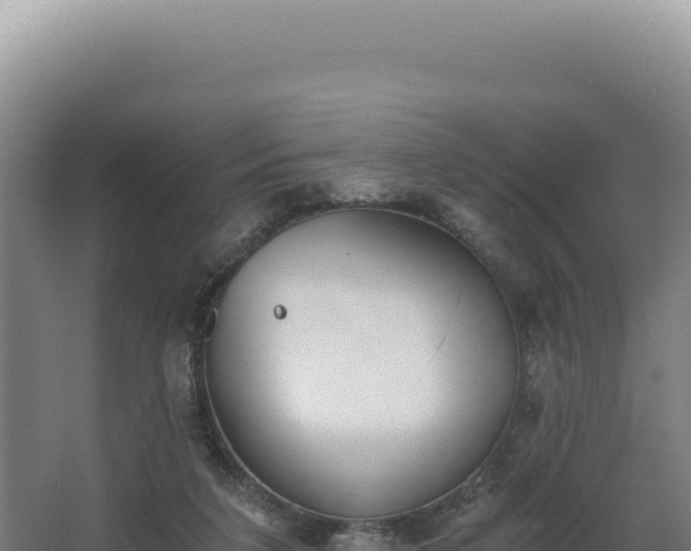 X0000068300211200604281718