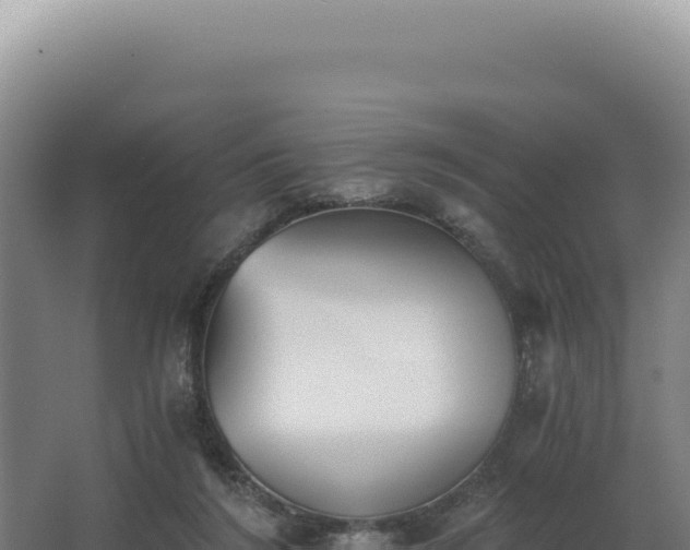 X0000068300212200604281718