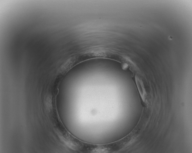 X0000068300213200604281718