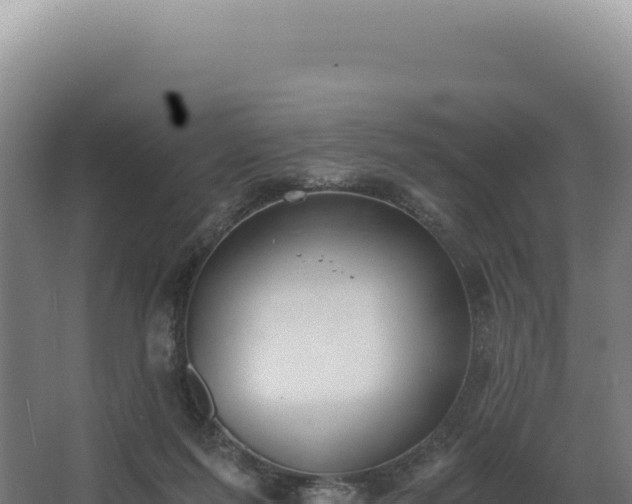 X0000068300215200604281718