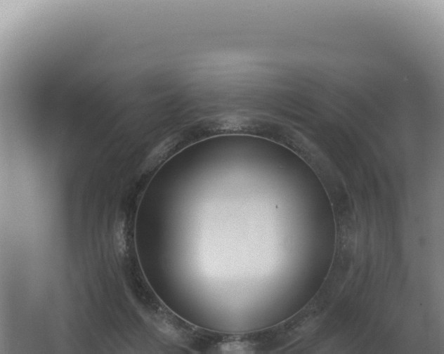 X0000068300216200604281718