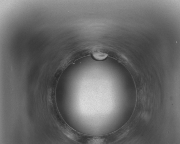 X0000068300217200604281718