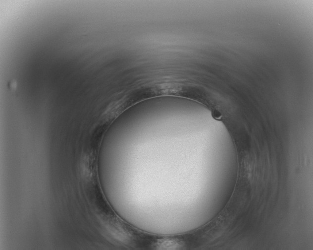 X0000068300218200604281718