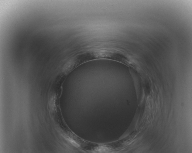 X0000068300219200604281718