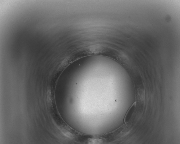 X0000068300220200604281718