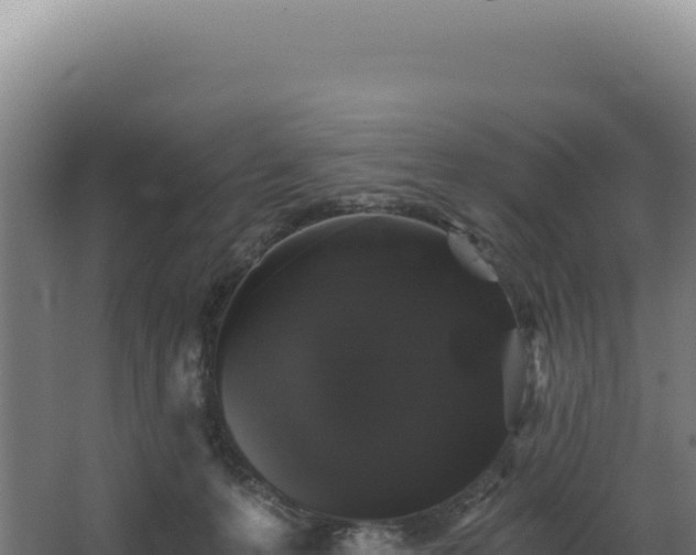 X0000068300223200604281718