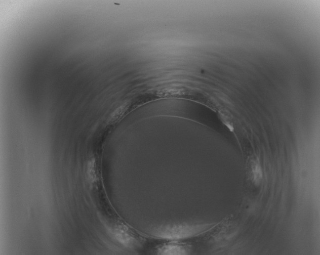 X0000068300224200604281718