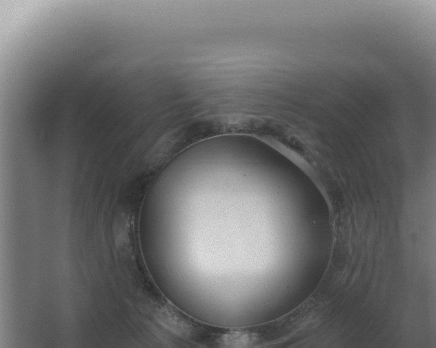 X0000068300225200604281718