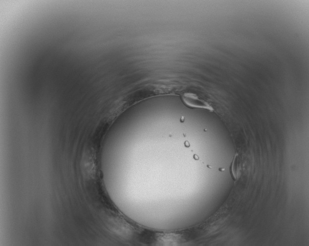 X0000068300226200604281718