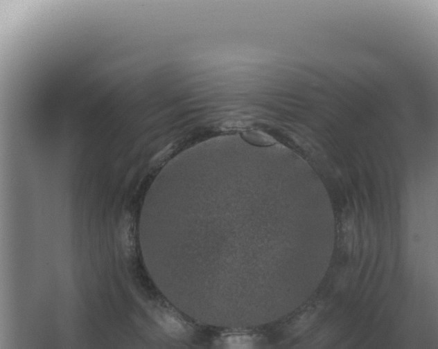 X0000068300228200604281718