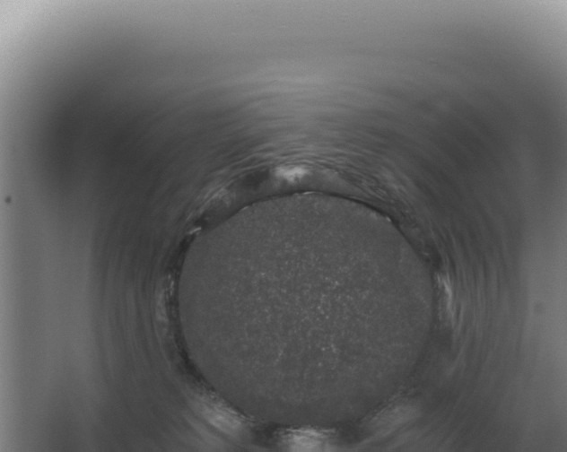 X0000068300229200604281718