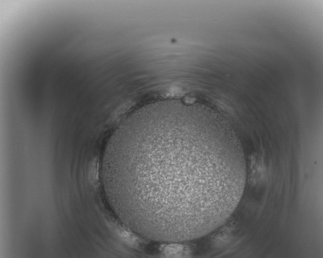 X0000068300230200604281718