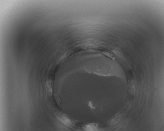 X0000068300232200604281718