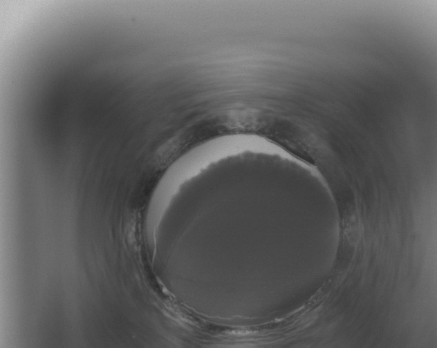 X0000068300233200604281718