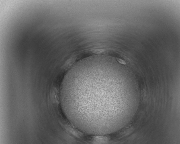 X0000068300234200604281718