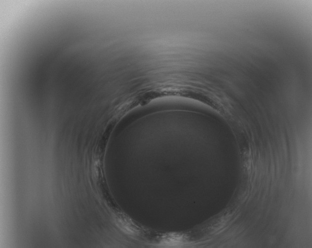 X0000068300235200604281718