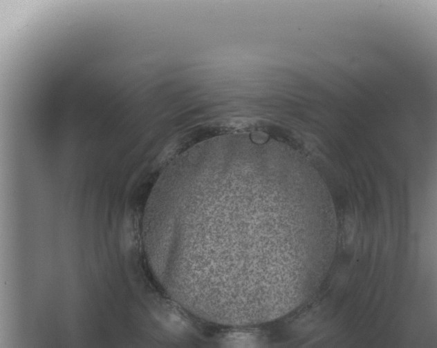 X0000068300236200604281717