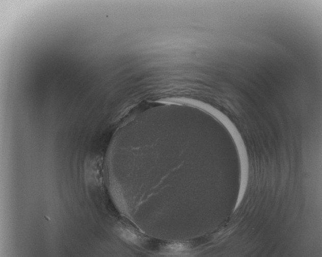 X0000068300237200604281717