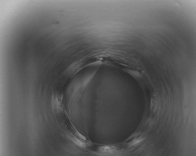 X0000068300239200604281717