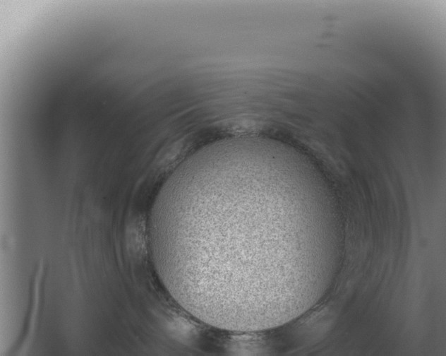 X0000068300240200604281717