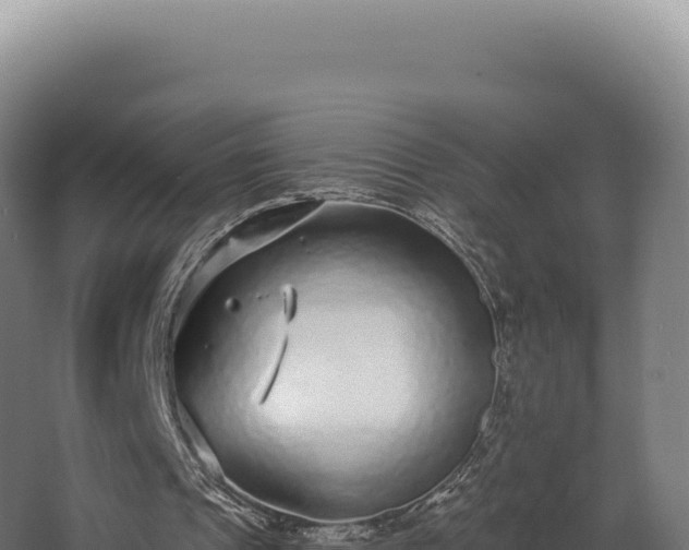 X0000068300241200604281717