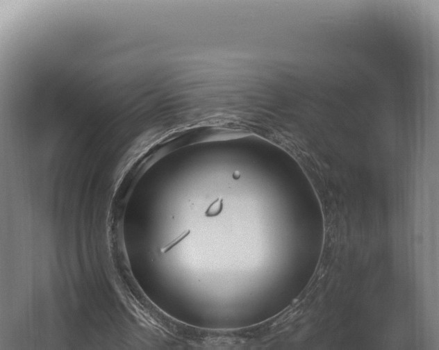 X0000068300242200604281717