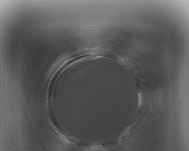 X0000068300243200604281717