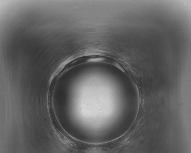 X0000068300244200604281717