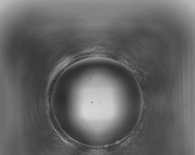 X0000068300245200604281717