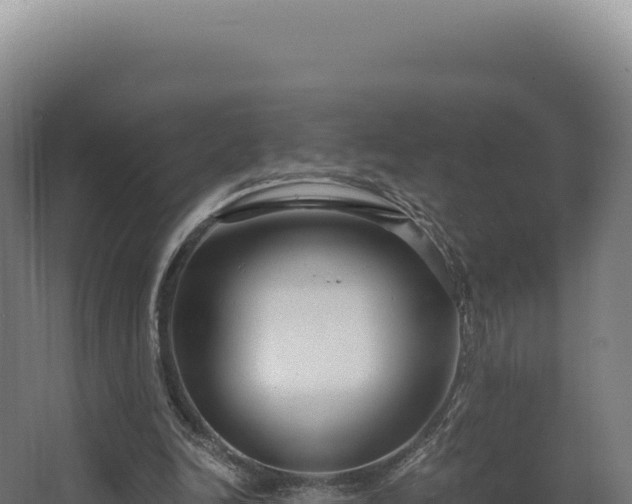 X0000068300246200604281717