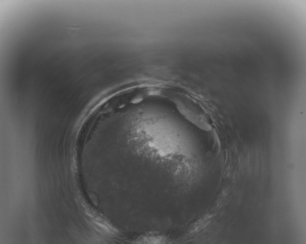 X0000068300247200604281717