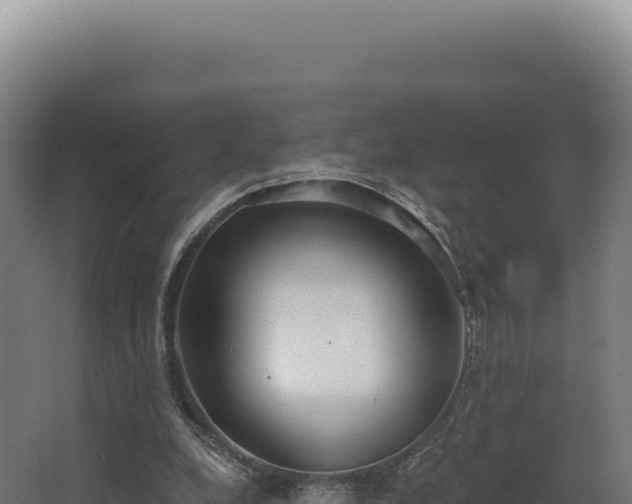 X0000068300248200604281717