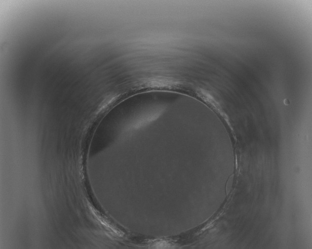 X0000068300249200604281717