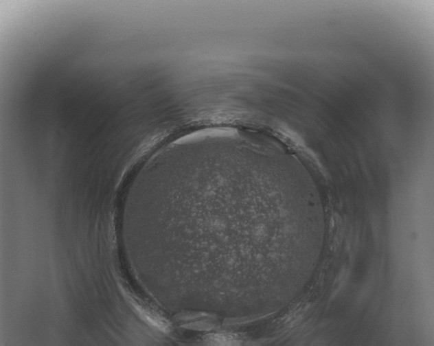 X0000068300250200604281717