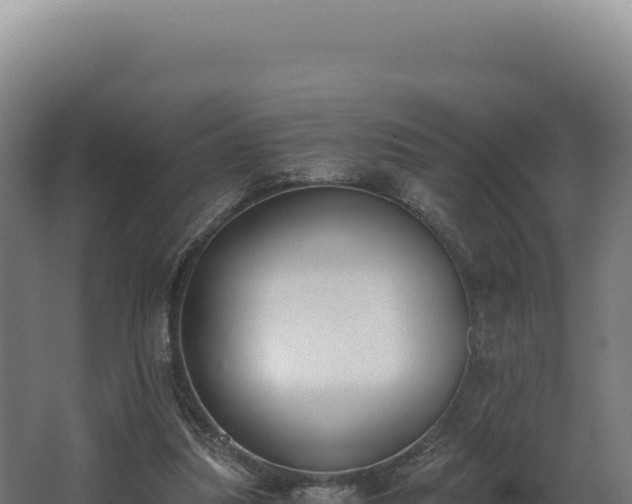 X0000068300251200604281717