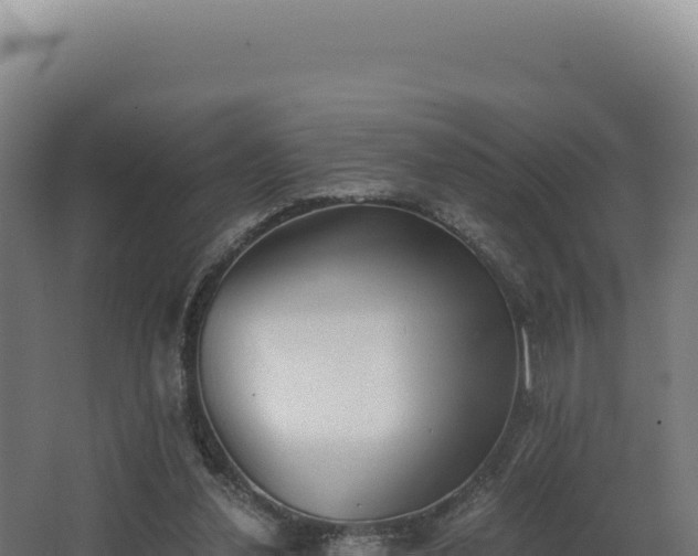 X0000068300252200604281717