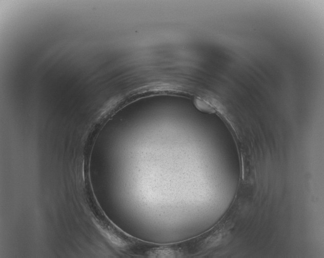 X0000068300253200604281717