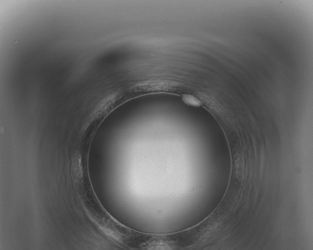 X0000068300254200604281717