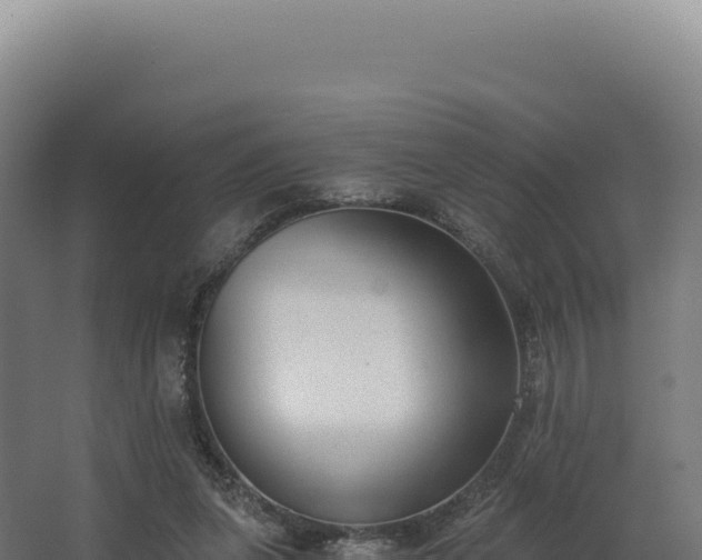 X0000068300255200604281717