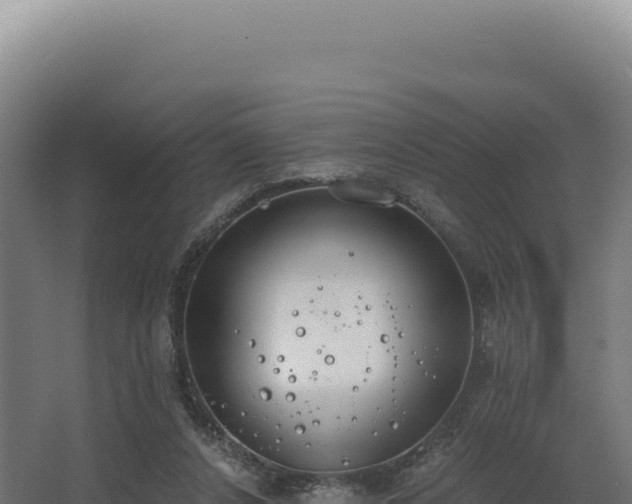 X0000068300256200604281717