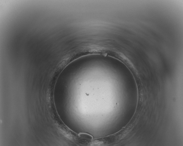 X0000068300257200604281717