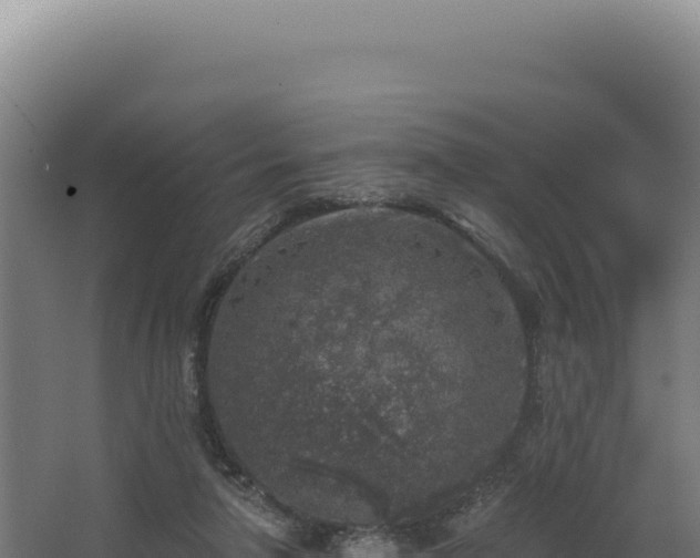 X0000068300258200604281717