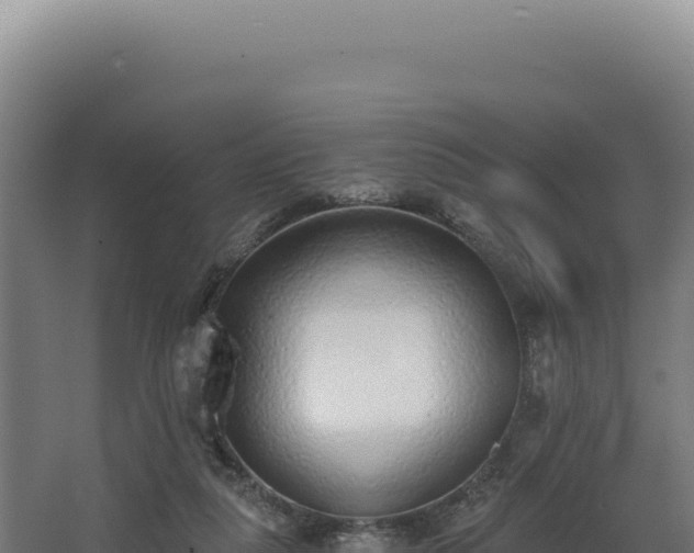 X0000068300259200604281717