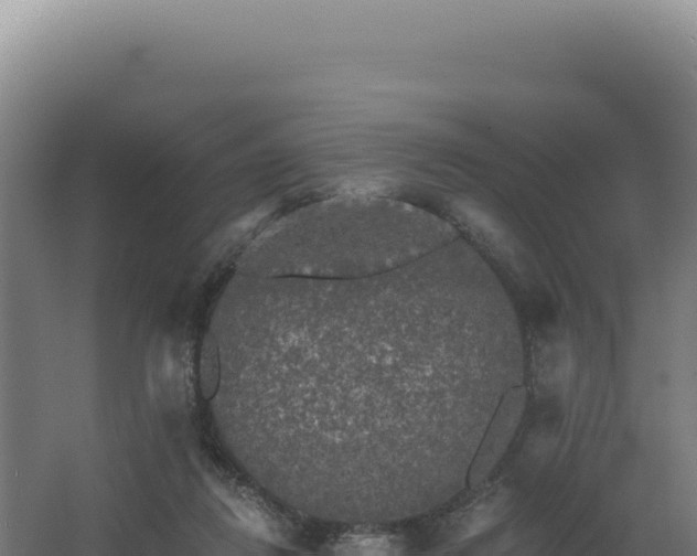 X0000068300260200604281717