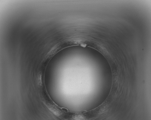 X0000068300262200604281717