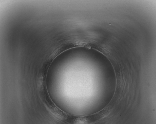 X0000068300263200604281717