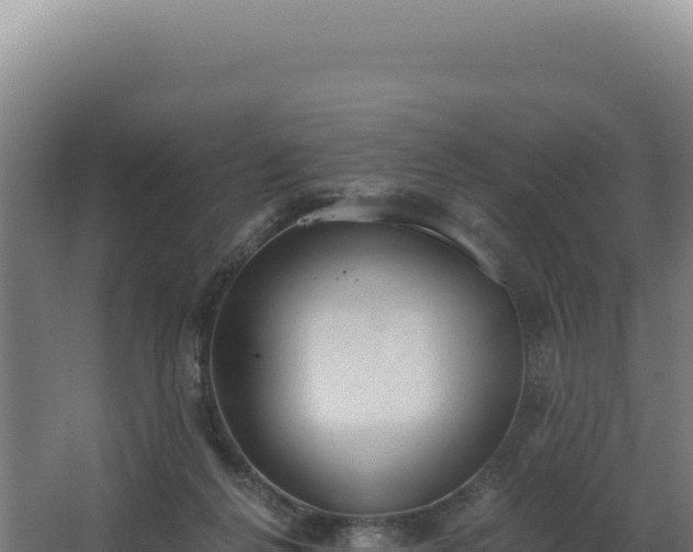 X0000068300264200604281717