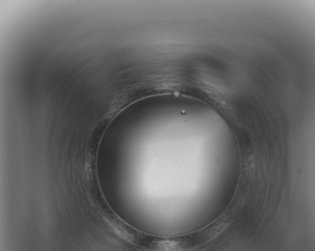 X0000068300265200604281717